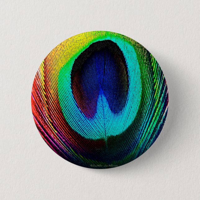 Vibrant Peacock Feather 6 Cm Round Badge (Front)
