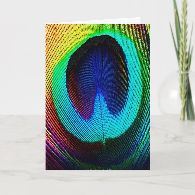 Vibrant Peacock Feather  Card (Front)