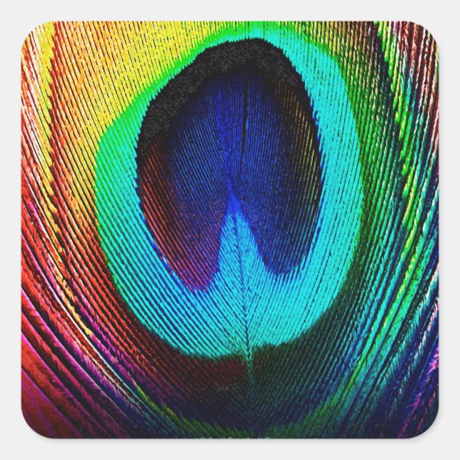 Vibrant Peacock Feather Square Sticker (Front)