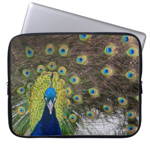 Vibrant Peacock Feathers Laptop Sleeve