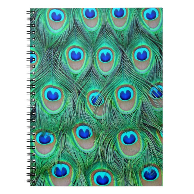 Vibrant Peacock Feathers Notebook (Front)