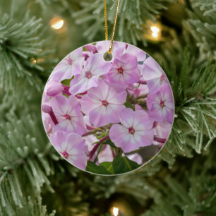 Vibrant Phlox Bloom Botanical Flower Ceramic Tree Decoration
