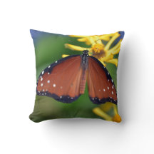 vibrant photographic brown butterfly pillow