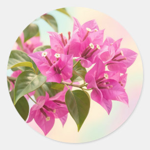 Vibrant Pink Bougainvillea Tropical Floral Classic Round Sticker