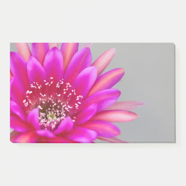 Vibrant pink cactus flower petals. post-it notes (Front)