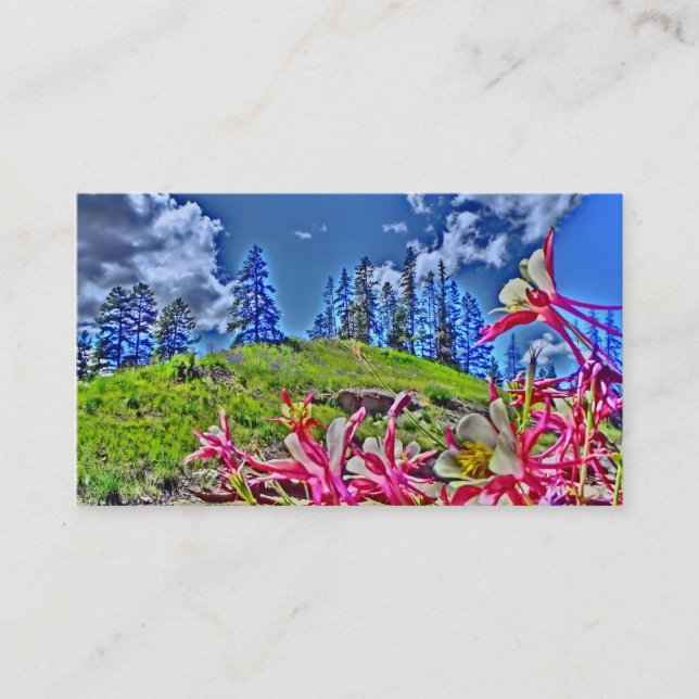 Vibrant pink columbine flower business cards (Front)