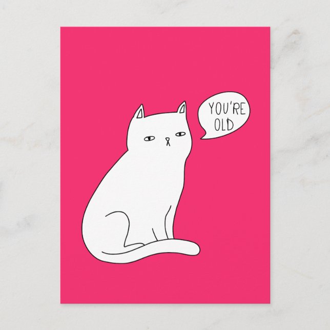 Vibrant pink funny cat "you're old" Birthday Postcard (Front)