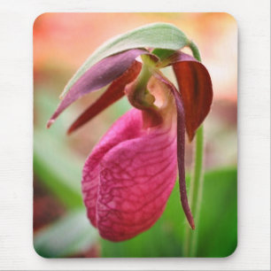 Vibrant Pink Lady Slipper Orchid Flower  Mouse Mat