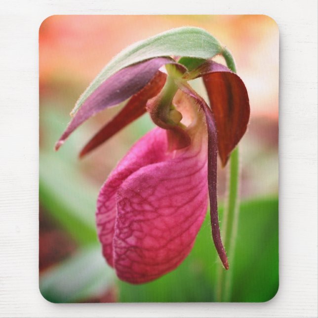 Vibrant Pink Lady Slipper Orchid Flower  Mouse Mat (Front)
