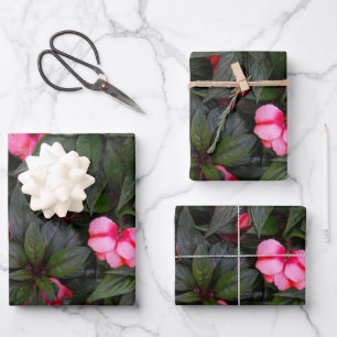 Vibrant Pink New Guinea Impatiens Flowers Pattern Wrapping Paper Sheet