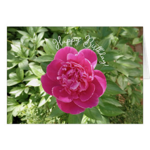Vibrant Pink Peony Flower Birthday Card