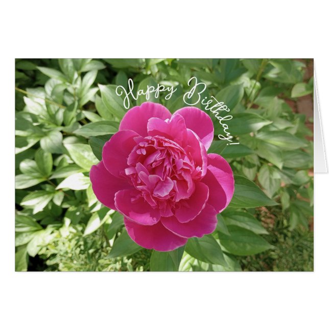 Vibrant Pink Peony Flower Birthday Card (Front Horizontal)