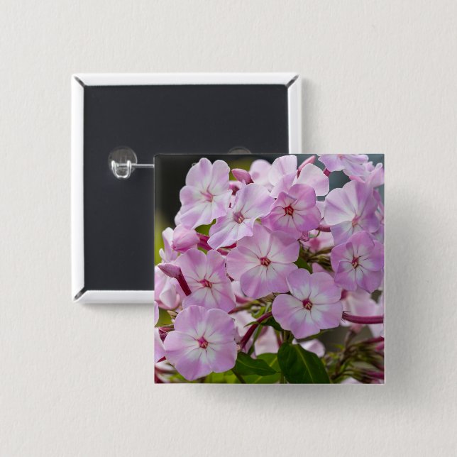 Vibrant Pink Phlox Botanical 15 Cm Square Badge (Front & Back)