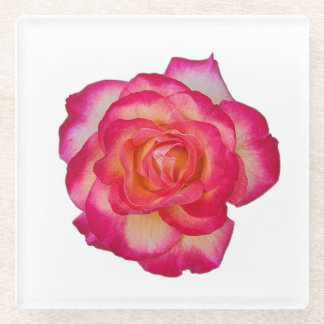 Vibrant Pink Rose Coaster