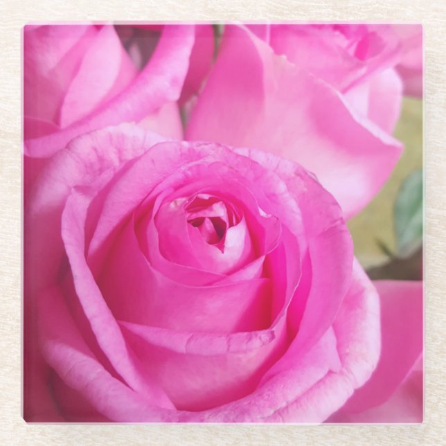 Vibrant Pink Roses Glass Coaster (Front)