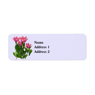 : Vibrant Pink Tulips