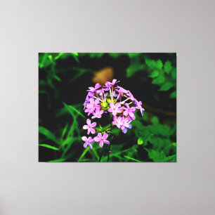 Vibrant Pink Wildflower Canvas Print