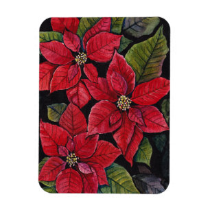 Vibrant Poinsettia In Watercolor  Magnet