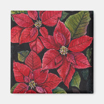 Vibrant Poinsettia In Watercolor