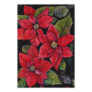 Vibrant Poinsettia In Watercolor  Photo Print