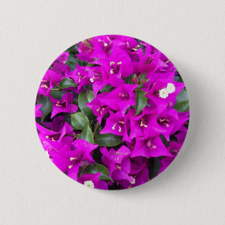 Vibrant Purple Bougainvillea flowers 6 Cm Round Badge