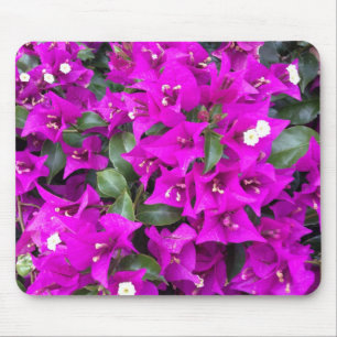 Vibrant Purple Bougainvillea Flowers Mouse Mat