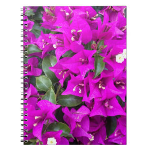 Vibrant Purple Bougainvillea Flowers Notebook