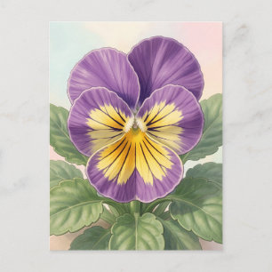 Vibrant Purple Yellow Pansy Flower Botanical Postcard