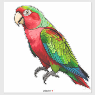 Vibrant Rainbow Parrot