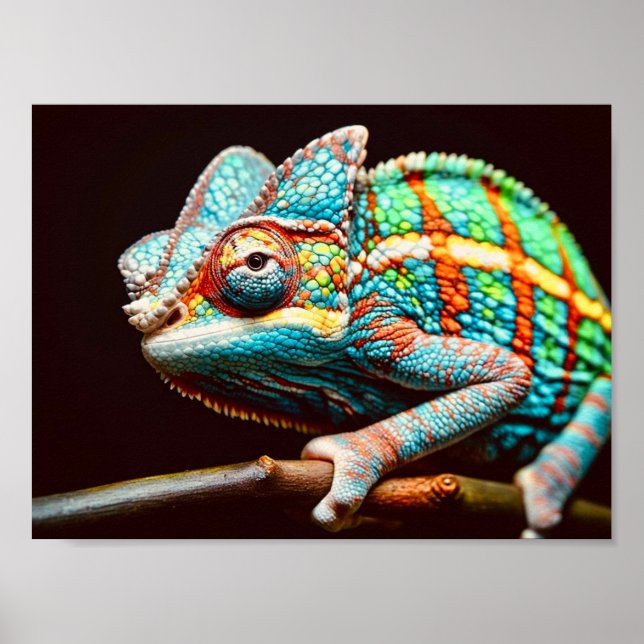 Vibrant Realistic Lizard Panther Chameleon Poster (Front)