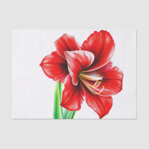 Vibrant Red Amaryllis in Watercolor Tissue Paper