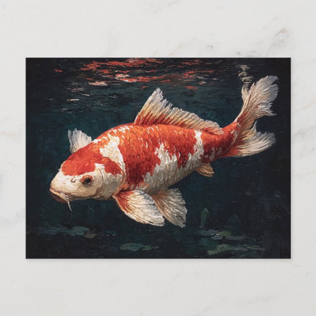 Vibrant Red and White Koi Fish Postcard (Front)