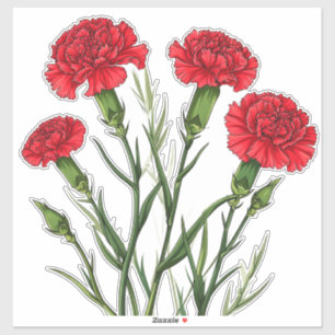 Vibrant Red Carnations With Green Stems