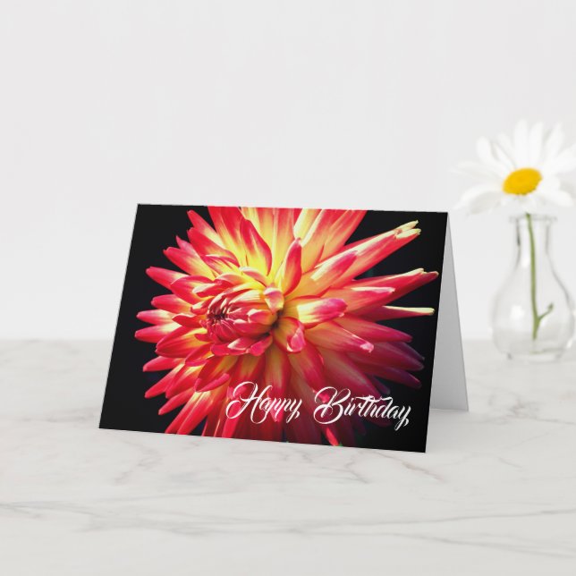 Vibrant Red Dahlia Flower Birthday  Card (Small Plant)