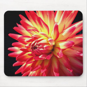 Vibrant Red Dahlia Flower Mouse Mat