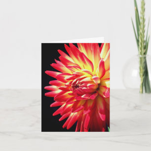 Vibrant Red Dahlia Flower Photography  Note Card