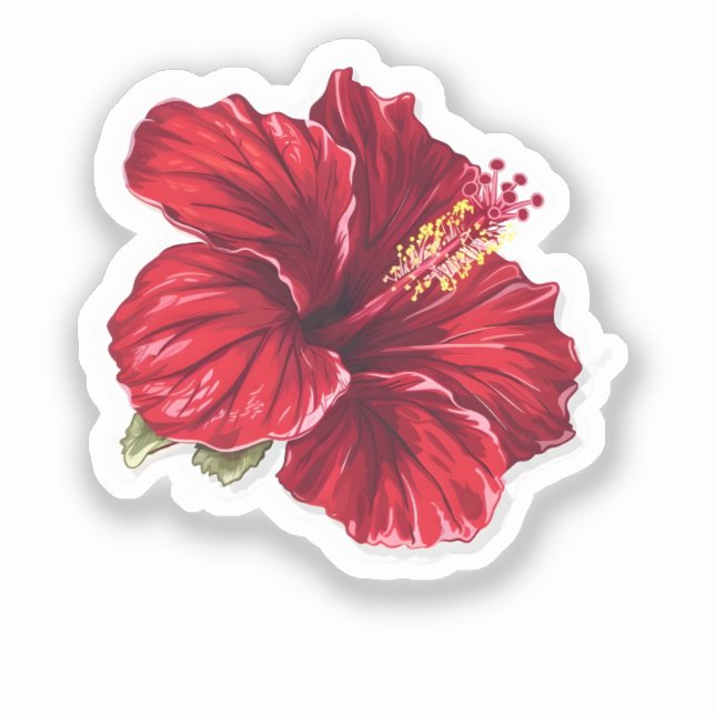 Vibrant Red Hibiscus Flower (Front)