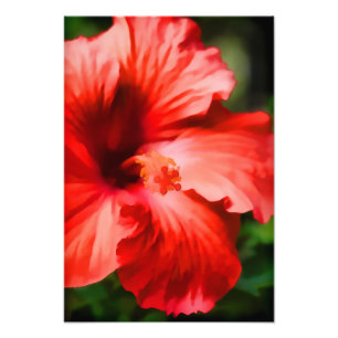Vibrant Red Hibiscus Illustration Photo Print