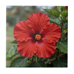 Vibrant Red Hibiscus Tropical Bloom Tile