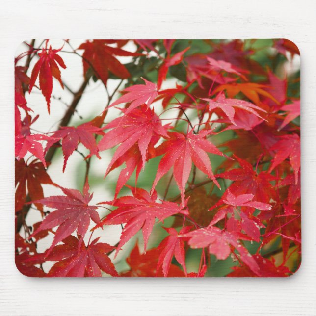Vibrant Red Japanese Maple Leaves Close-Up Mouse Mat (Front)