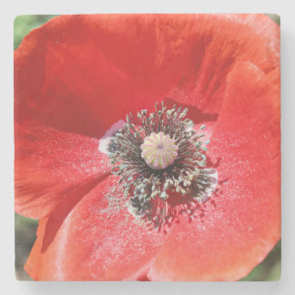 Vibrant Red Macro Botanical Poppy Floral Stone Coaster