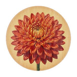Vibrant Red Orange Chrysanthemum Flower Botanical Cutting Board