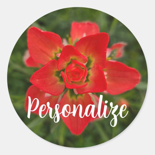 Vibrant Red Paintbrush Wildflower Classic Round Sticker (Front)