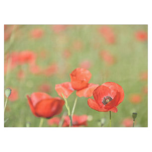 Vibrant red poppies in a green poppy field tablecloth