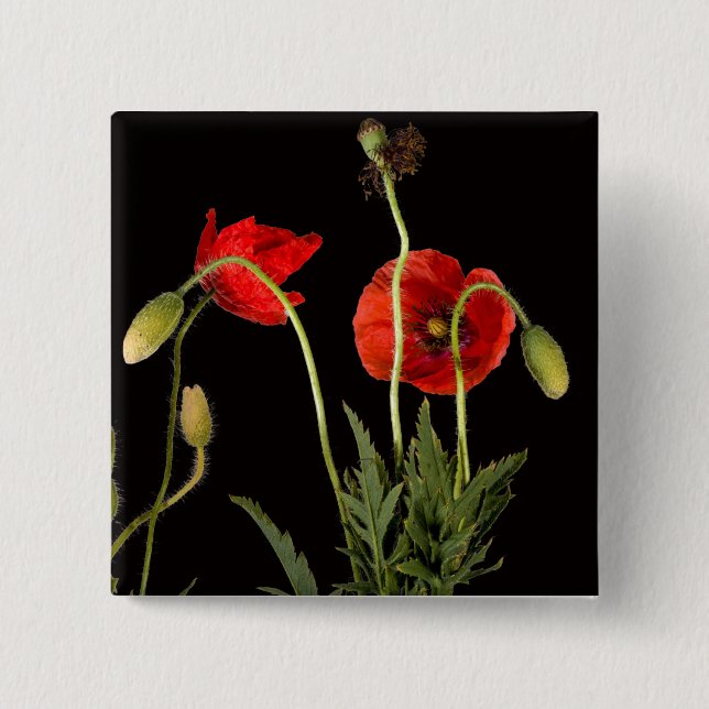 Vibrant Red Poppies On Black 15 Cm Square Badge (Front)