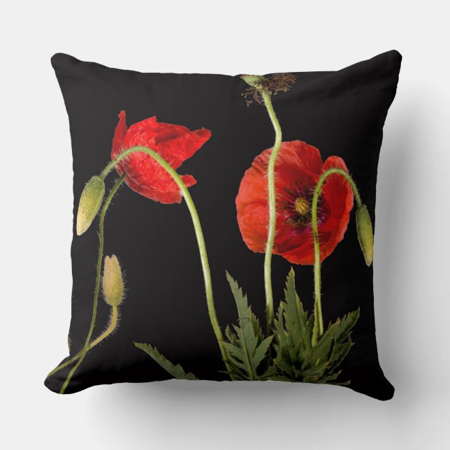 Vibrant Red Poppies On Black Cushion (Front)
