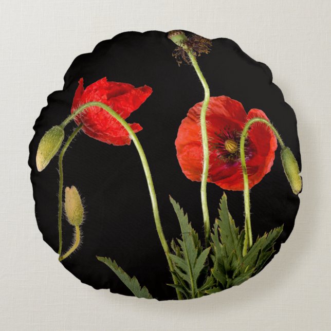 Vibrant Red Poppies On Black Round Cushion (Front)