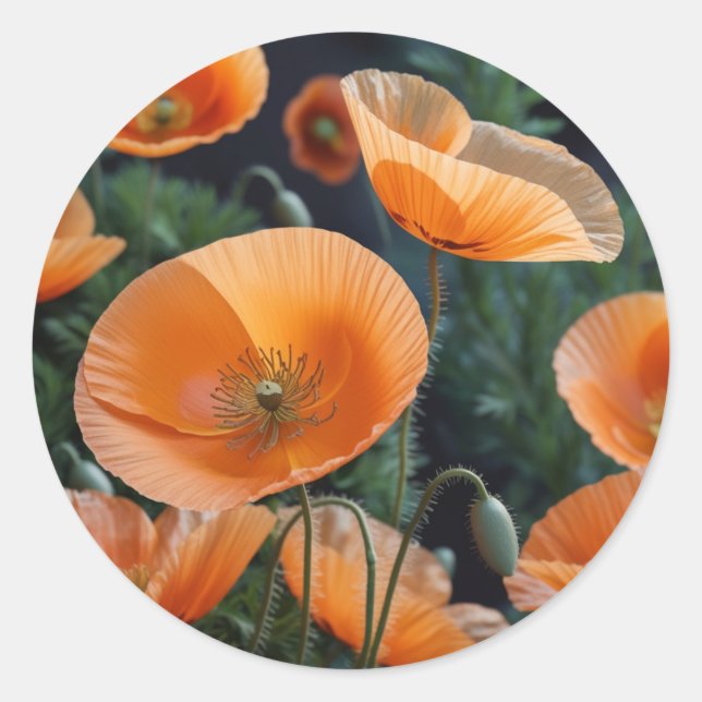  Vibrant Red Poppy Flower Classic Round Sticker (Front)