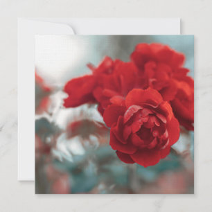 Vibrant Red Rose Bloom Botanical Greeting Card