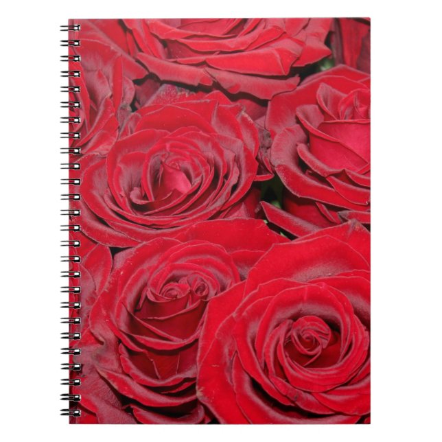 Vibrant Red Roses Notebook (Front)